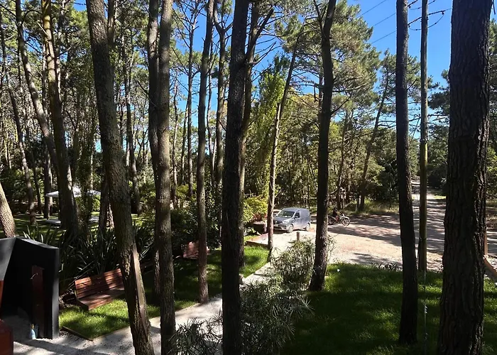 Jack Y Rouse Suites De Mar